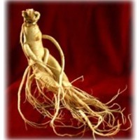 Ginseng