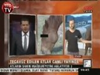 Yarış Atlarına Tecavüz Ve 5 N 1 K Koparan Röportaj