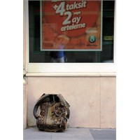 Hamal Semerleri