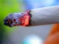 Sigara Öldürür Mü? Hadi Canım Sen De!…