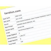 Domain Sorgulamasının Püf Noktaları