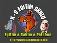 Yaşlı Köpek Bakımı