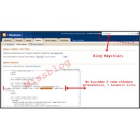 Bazı Bloglarda 2 Tane Olan 'Blog Kayıtları' Sorunu