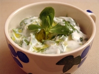 Cevizli Fındıklı Semizotu Salatası