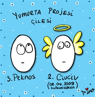 Yumurta Projesi Kabusu