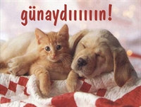 Kamplaşmaların Sonu Tehlikelidir!