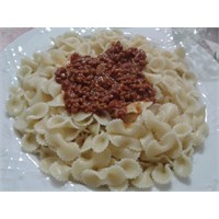 Fiyonk The Bolognese