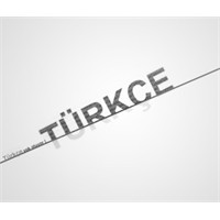 Türkçe’nin Kıymeti Nerede?