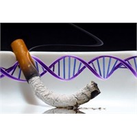 15 Dakikada Dna'nız Bozulabilirmi?