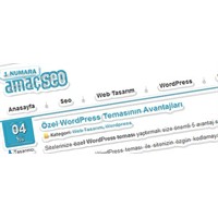 Amacseo Ücretsiz Wordpress Seo Teması