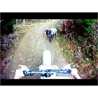 2013 ‘ün Popüler Motosiklet Videoları