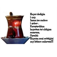 İnsan Hayatta Ne İster ?