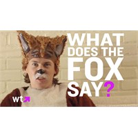 Ylvis - The Fox