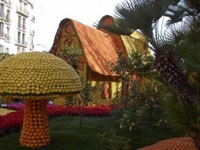 Hollanda Orange Festivali