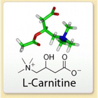 L Carnitine Nedir ? Yağ Yakma Sürecinde Kullanımı