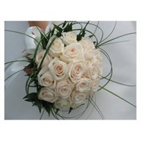 Gelin Çiçekleri (Bridal Flowers)