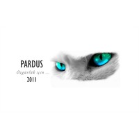 Pardus 2011 : Apache Mysql Php Phpmyadmin Kurulumu