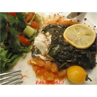 Pazı Yaprağında Levrek