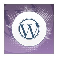 Wordpress'te Seo Yapmak