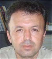 Referandum Kültürü