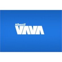 Vavatema Seo'lu Kişisel Wordpress Tema Yayımda