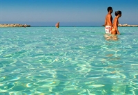 Kıbrısta Tatil Yapmak İstermisiniz !