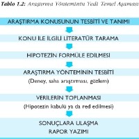 Bilimsel Yöntem Basamakları (Nedir-nasıl Yapılır)