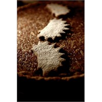 Elmalı Tart Ve Kurabiye