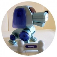 Aptal Robot Köpek!