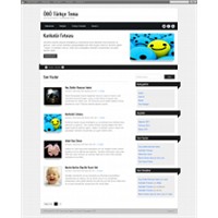 Ribbons Türkçe Wordpress Teması