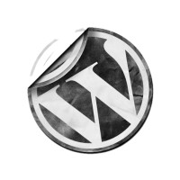 Wordpress 3.1.4 Dil Dosyası Hatası