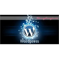 Wordpress Ve İnternetten Para Kazanma