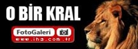 O Bir Kral