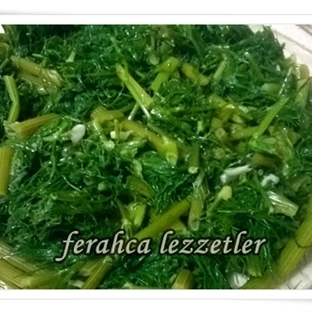 ARAPSAÇI-REZENE SALATASI