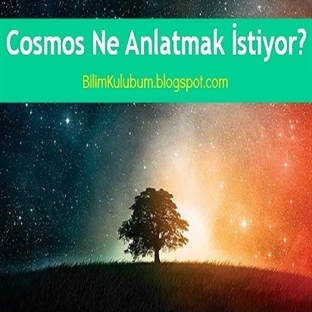 Cosmos Ne Anlatmak İstiyor?