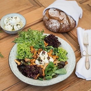 Eierschwammerlsalat mit Ziegenfrischkäse