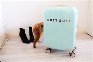 Dit is de allerbeste handbagage koffer