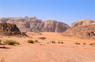 Jordanië | De woestijn in bij Wadi Rum