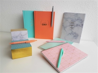 TIP | Action notitieboekjes en bureau accessoires