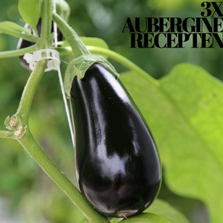 3x Turks recept met aubergine