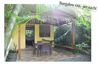 Gelddagboek Costa Rica - Suzanne van Duijn