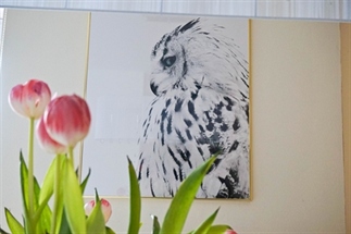 Interieur musthave Desenio