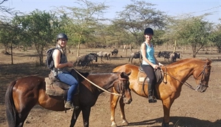Tanzania te paard