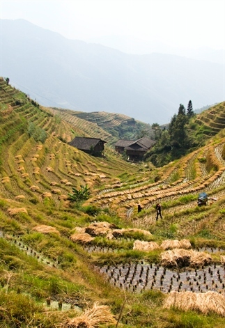 Zo mooi: de rijstvelden van Longsheng in China