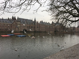 Cityguide: de leukste tips voor Den Haag