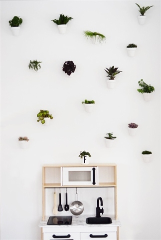 DIY GREEN WALL