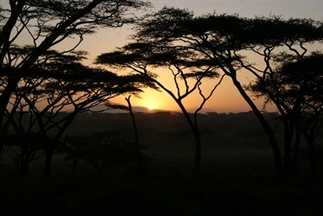 Een dag in de Afrikaanse bush