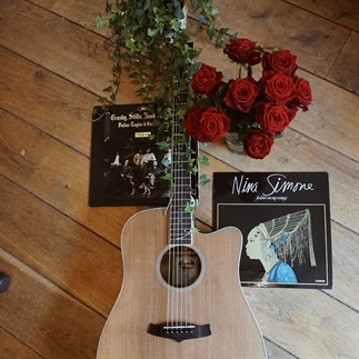 Gids voor muzikanten en singer-songwriters