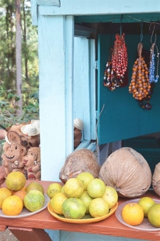Mijn twee weekse route voor centraal Cuba