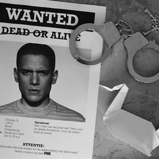 Prison Break: Ontsnappen (seizoen) 5.0